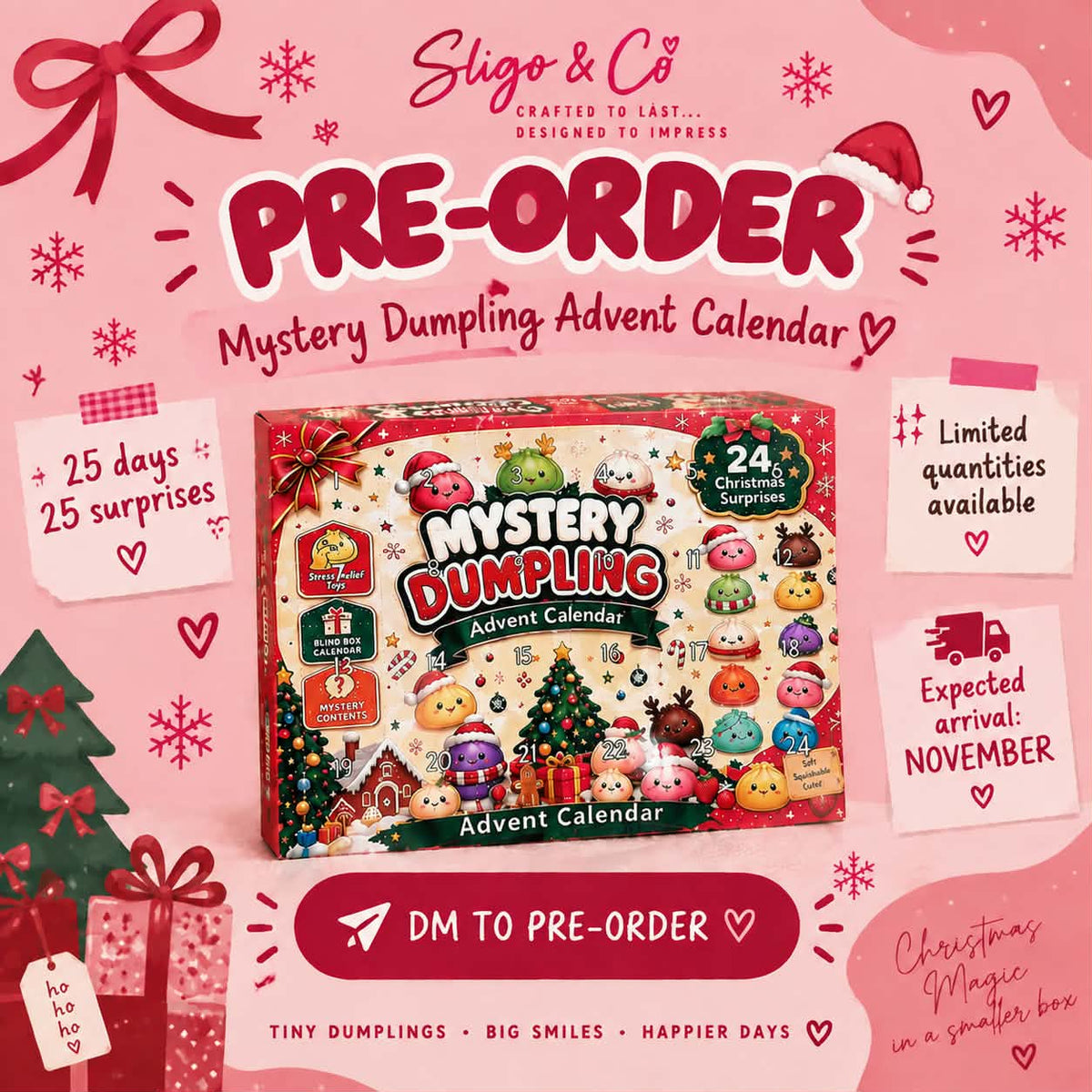 Mystery Dumpling Advent Calendar PRE-ORDER